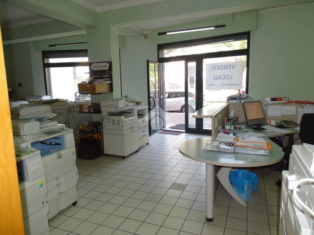 immagine annuncio 2 di 6