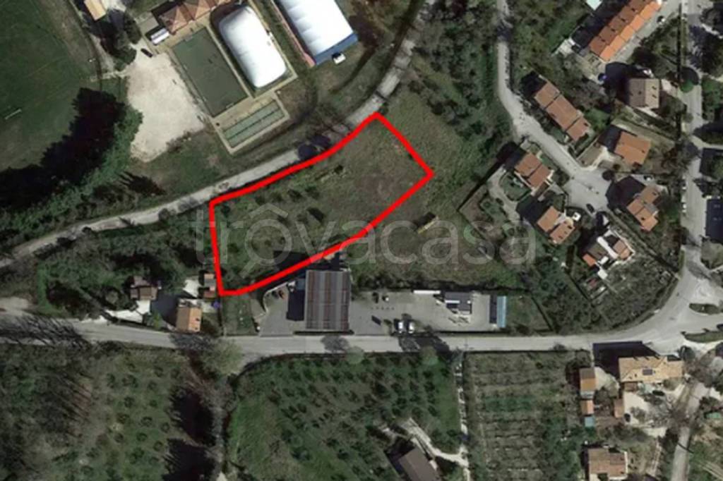 immagine annuncio 10 di 11