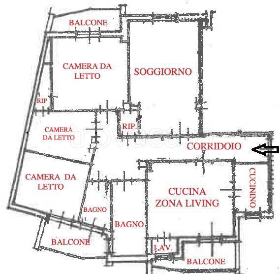 immagine annuncio 3 di 15