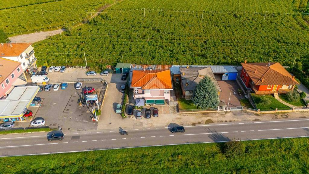 immagine annuncio 12 di 14