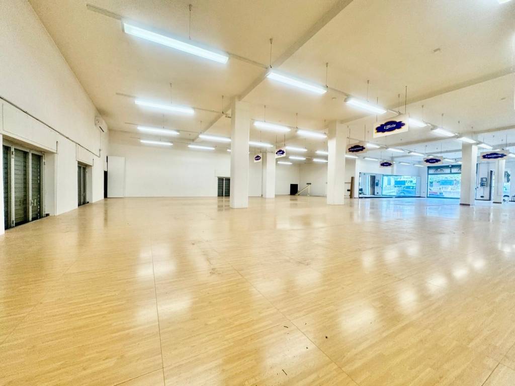 immagine annuncio 6 di 13