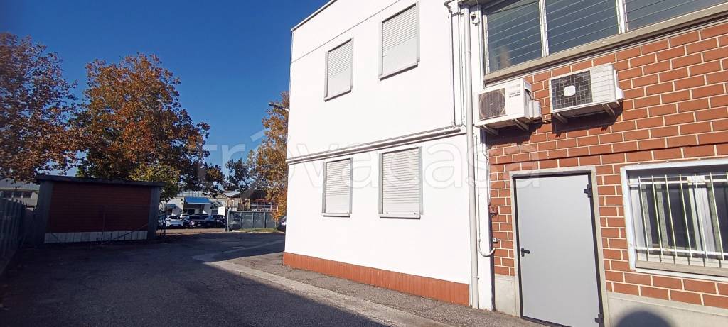 immagine annuncio 8 di 15