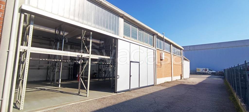 immagine annuncio 10 di 15