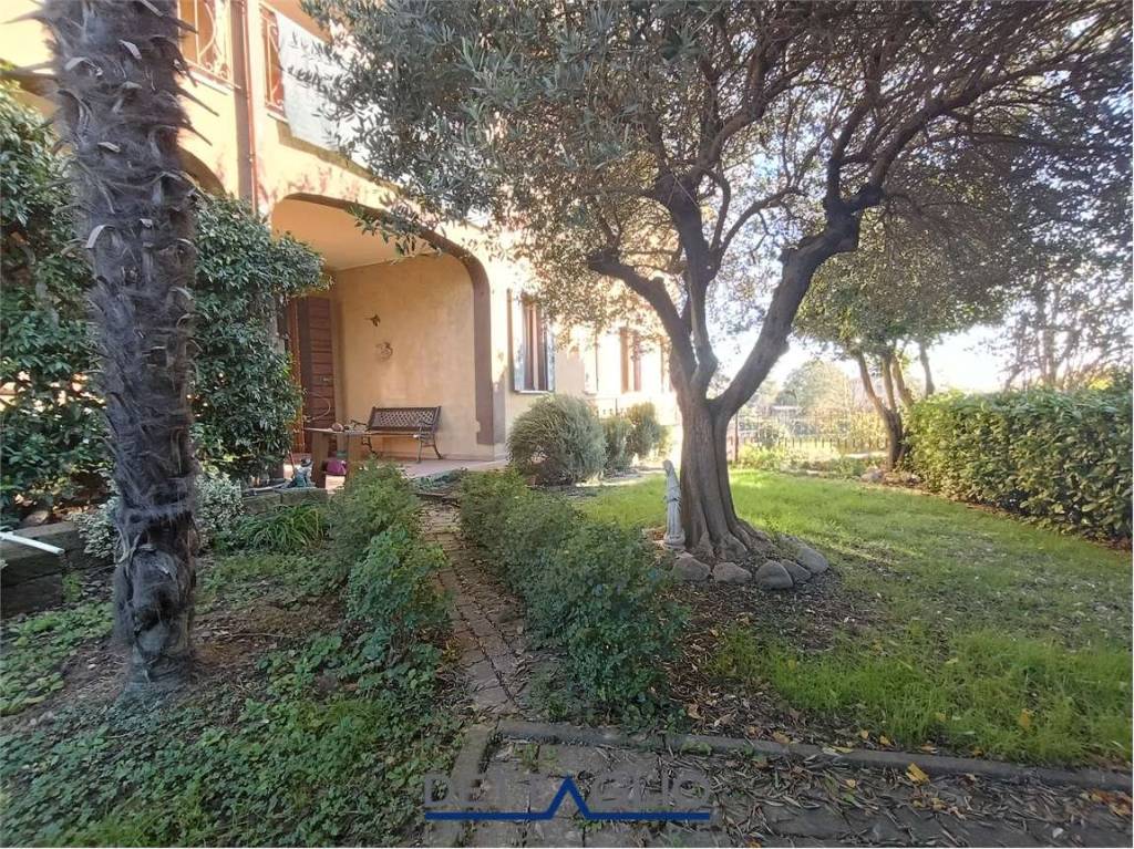 immagine annuncio 13 di 15