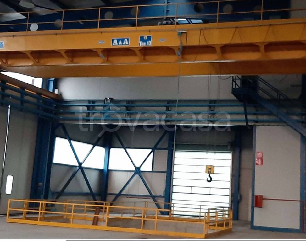 immagine annuncio 5 di 11