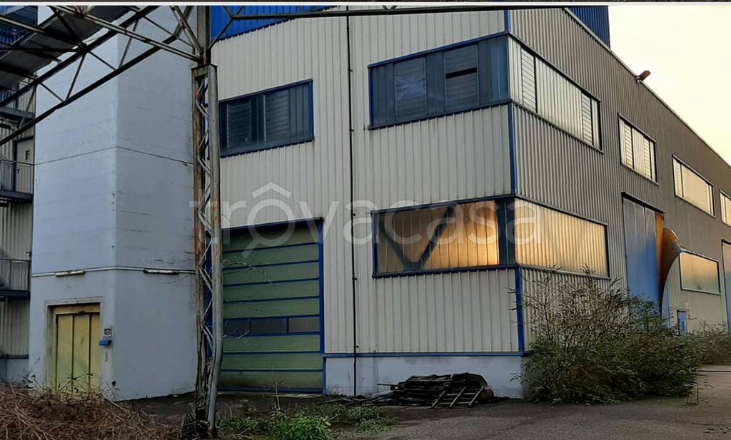 immagine annuncio 6 di 11