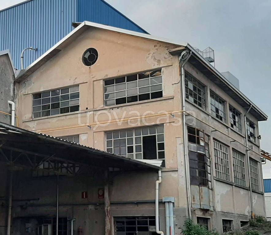 immagine annuncio 7 di 11