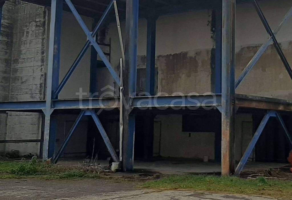 immagine annuncio 10 di 11