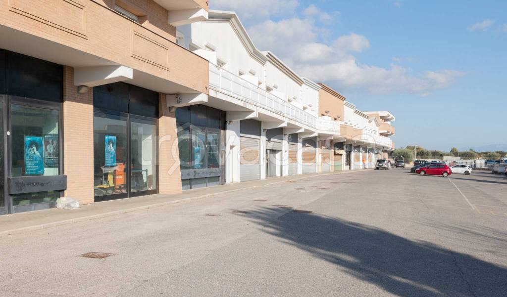 immagine annuncio 4 di 9