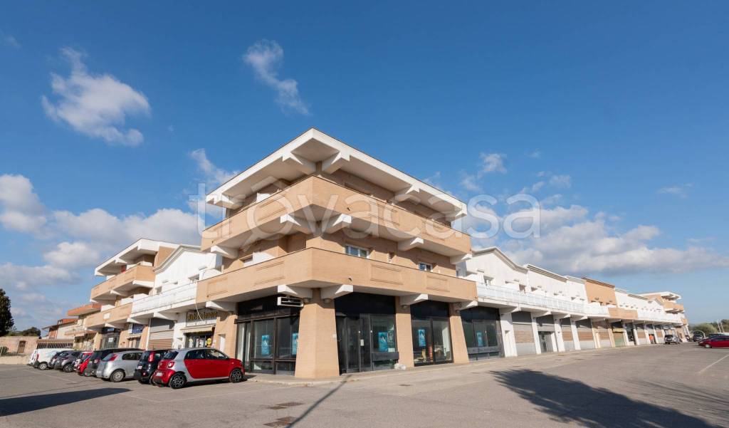 immagine annuncio 3 di 9