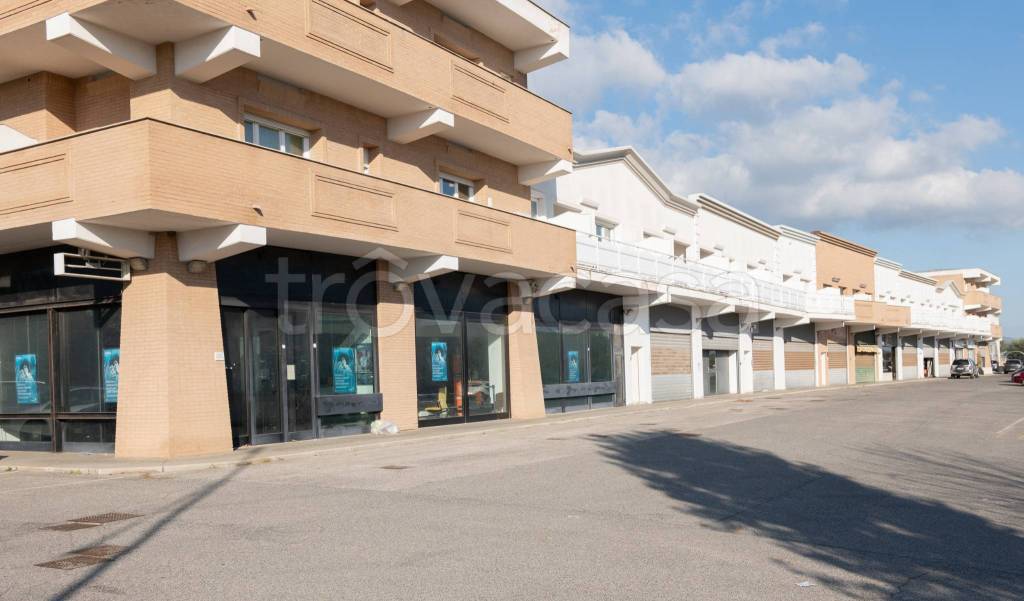 immagine annuncio 6 di 9