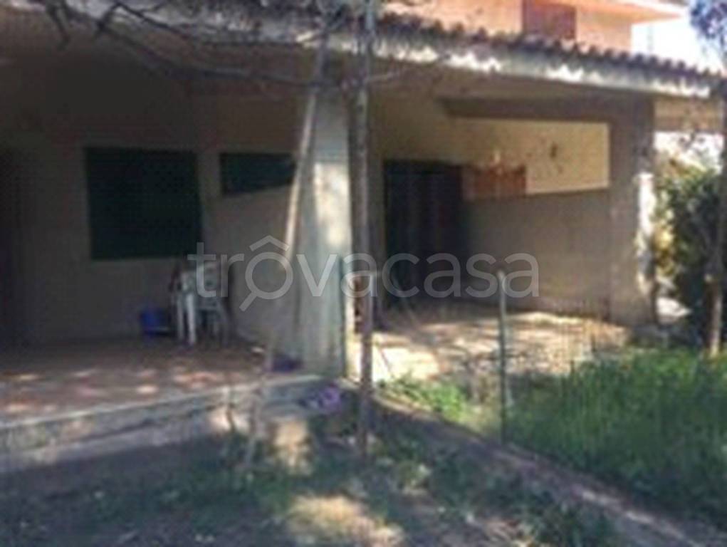 immagine annuncio 4 di 14