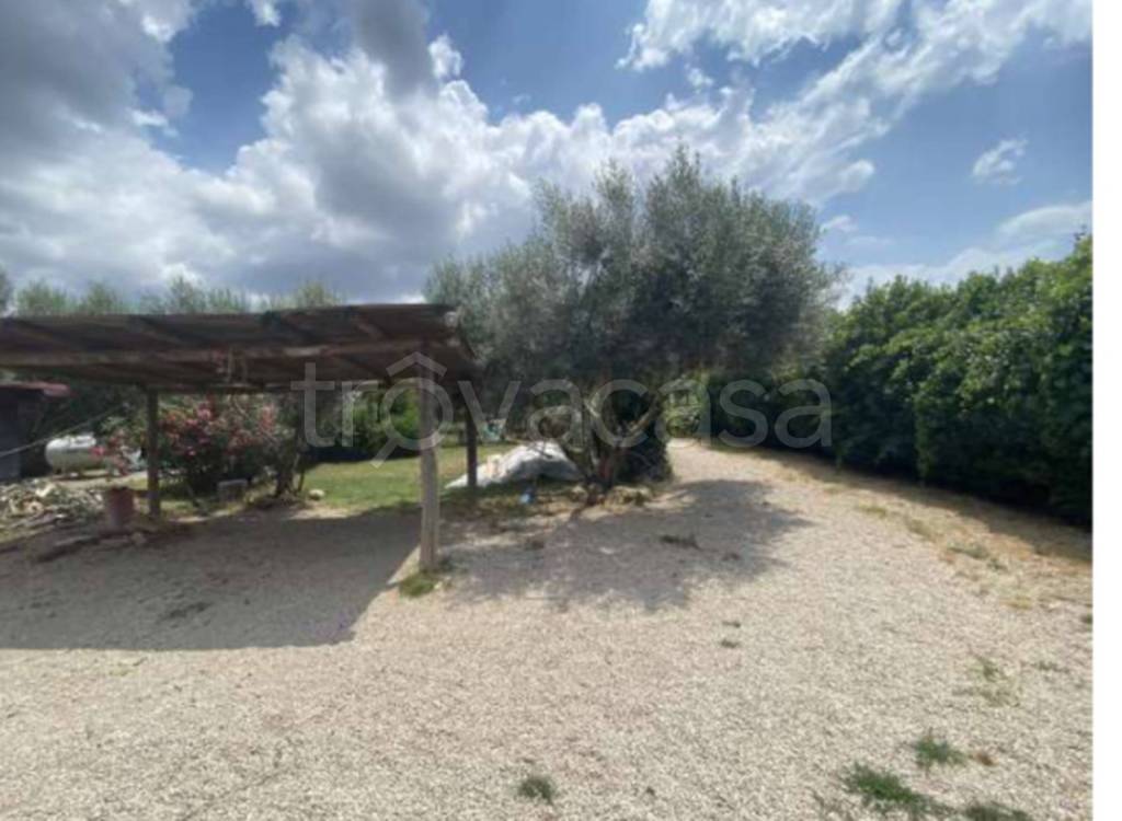 immagine annuncio 6 di 11