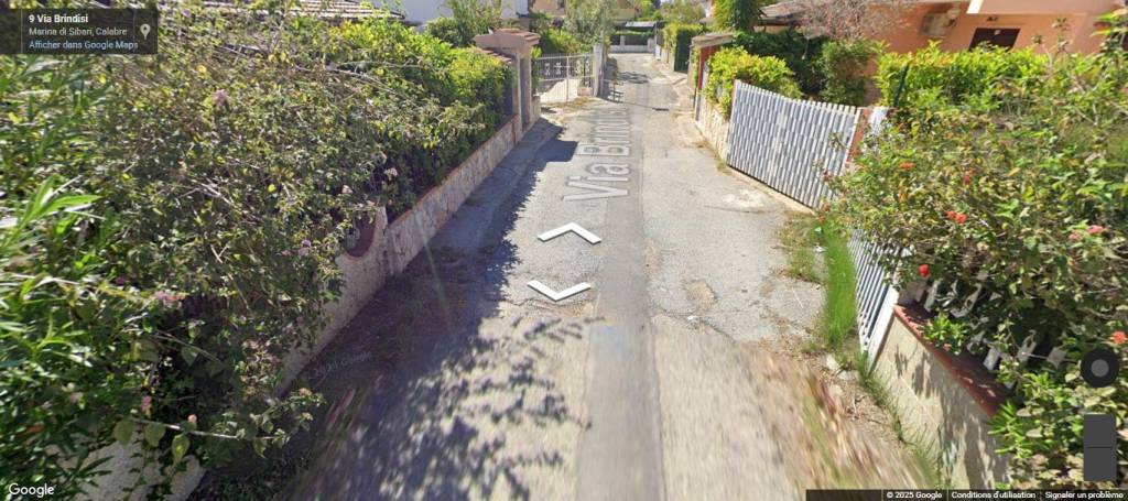 immagine annuncio 11 di 14