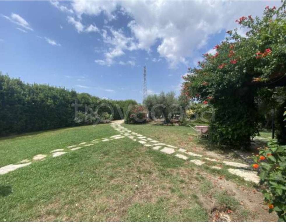 immagine annuncio 8 di 11