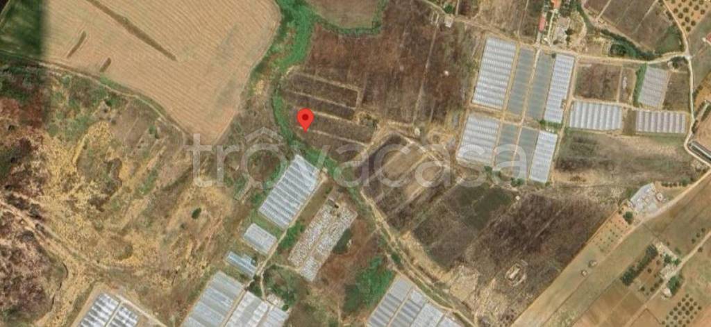 immagine annuncio 9 di 11