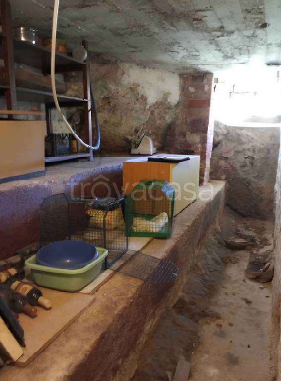 immagine annuncio 2 di 6