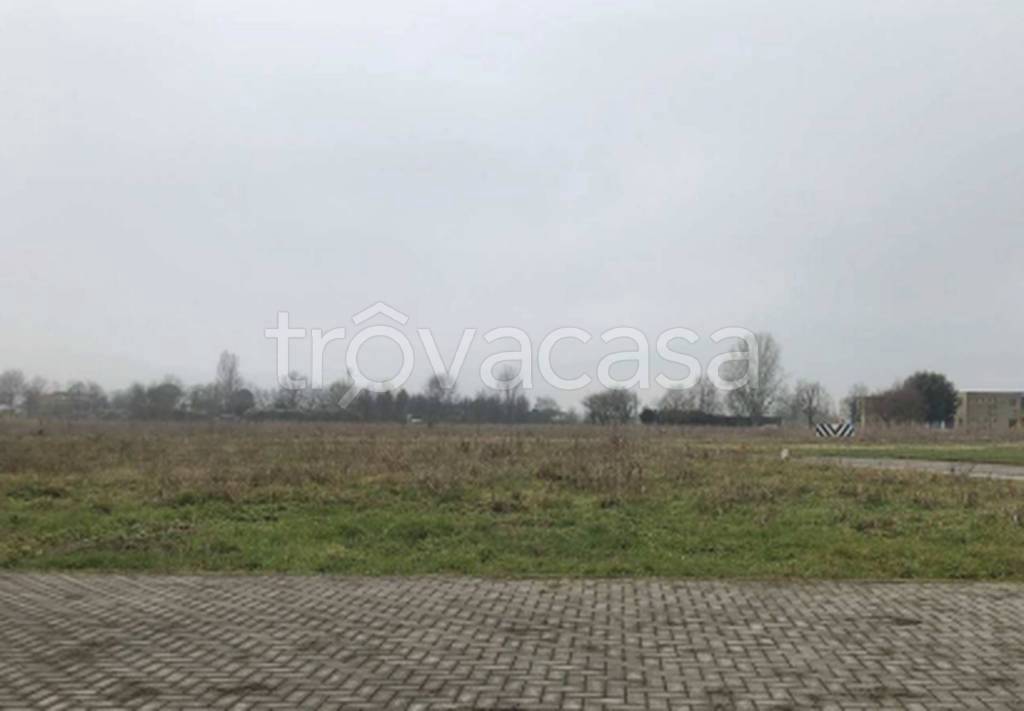 immagine annuncio 3 di 9