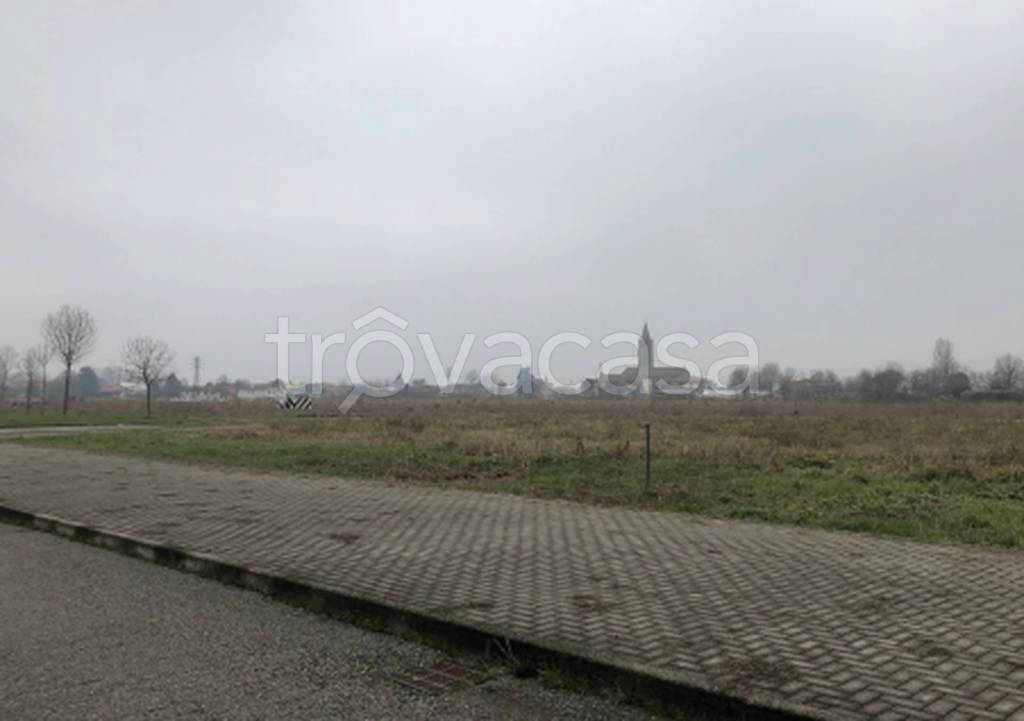 immagine annuncio 4 di 9