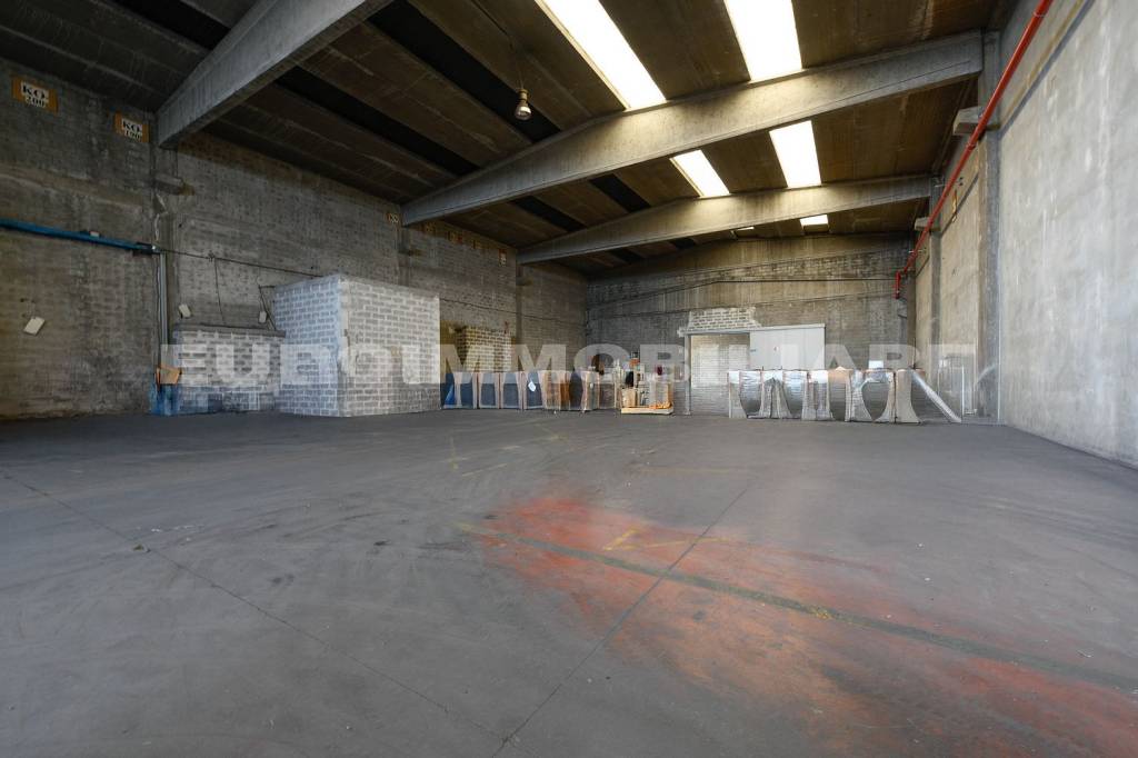 immagine annuncio 5 di 11