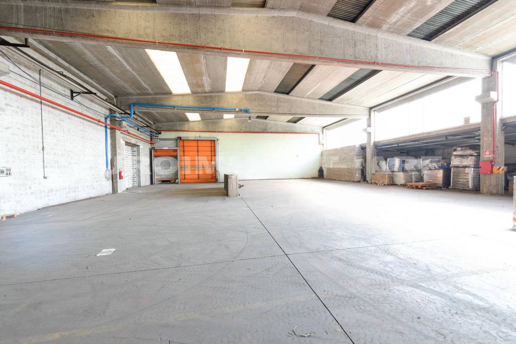 immagine annuncio 6 di 11