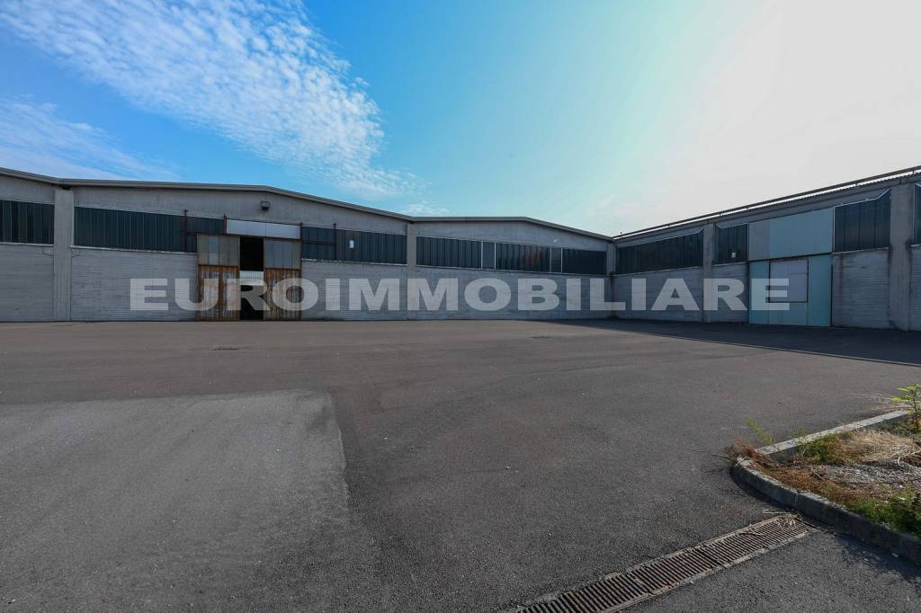 immagine annuncio 9 di 11