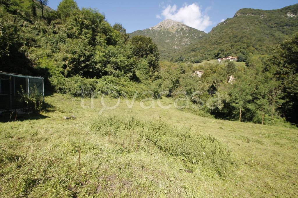 immagine annuncio 7 di 9