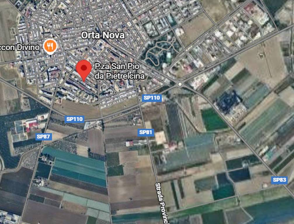 immagine annuncio 2 di 10