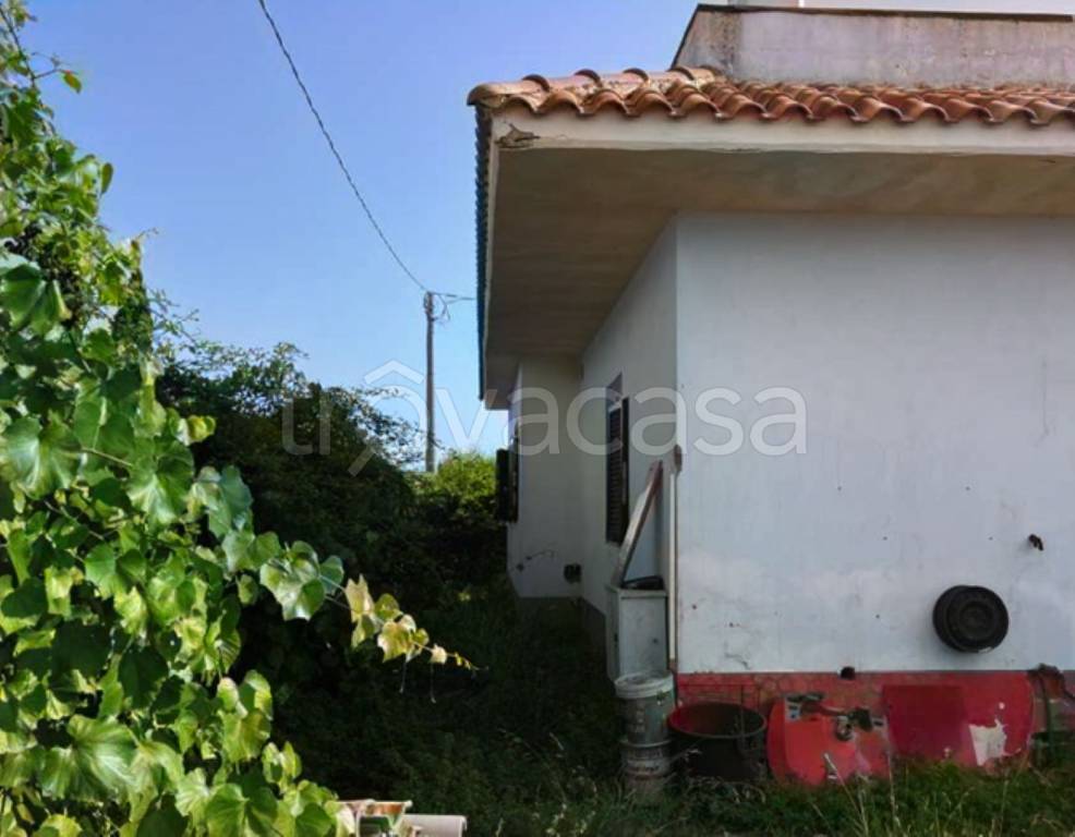 immagine annuncio 7 di 13