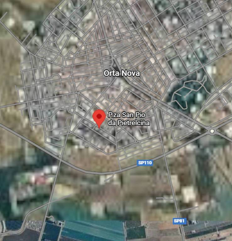 immagine annuncio 3 di 10