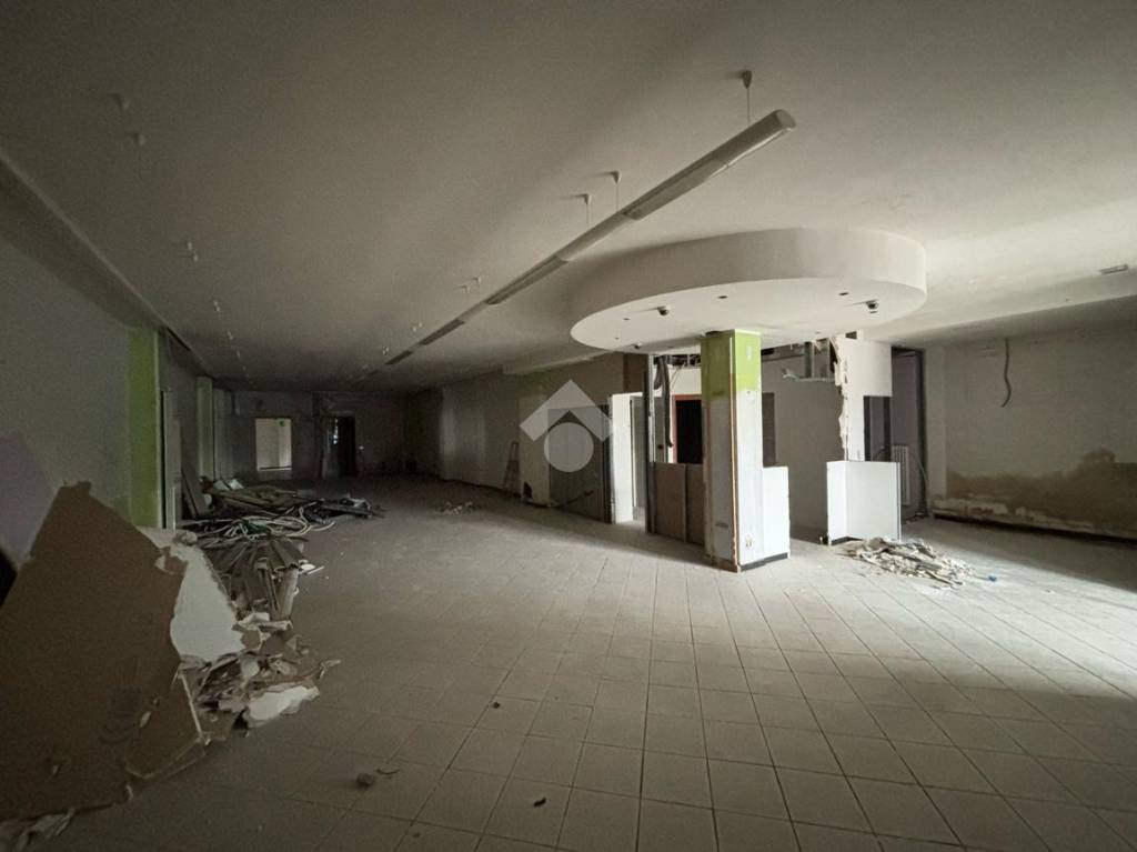 immagine annuncio 3 di 8