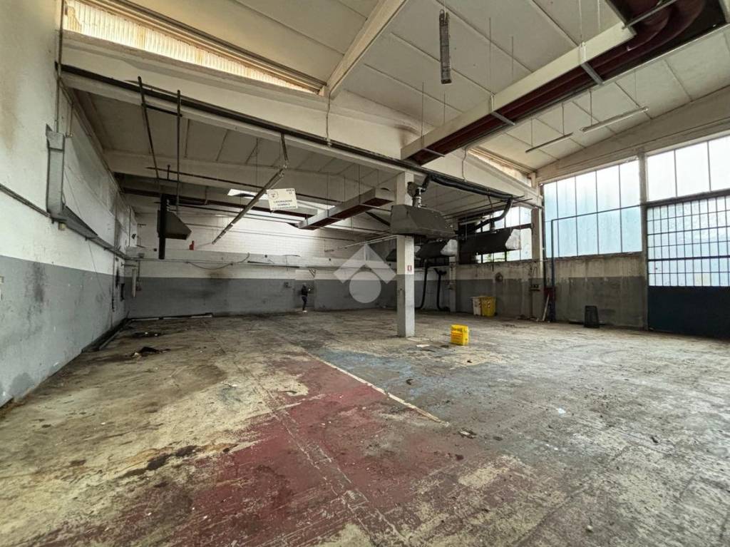 immagine annuncio 9 di 11