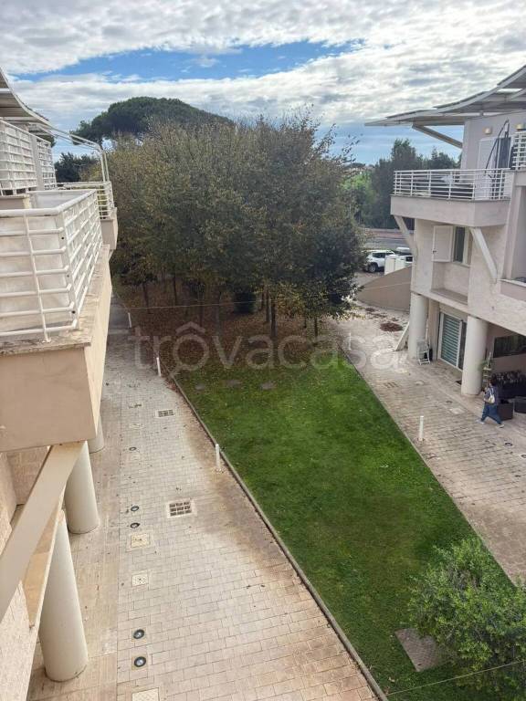 immagine annuncio 10 di 14