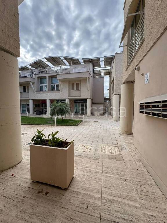 immagine annuncio 12 di 14