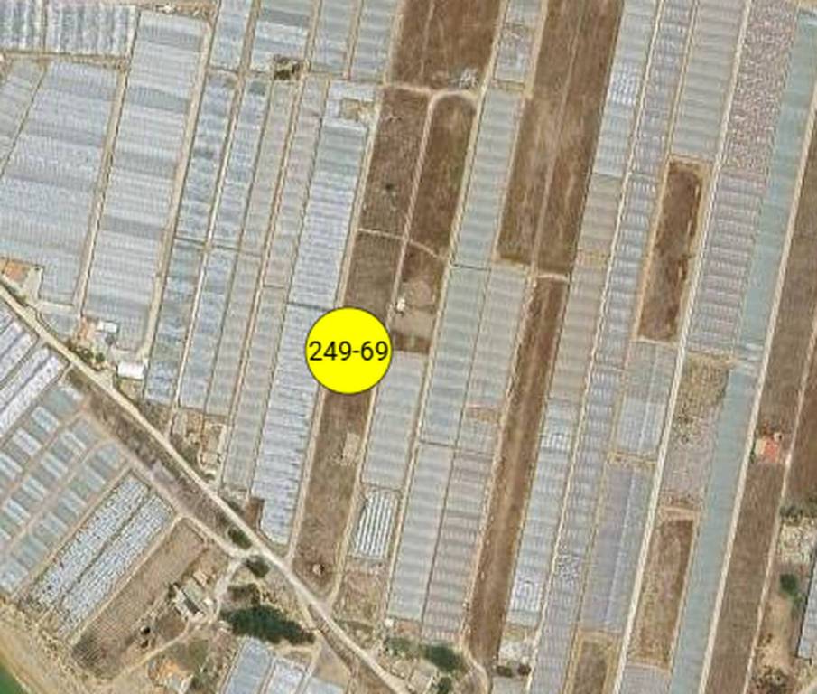 immagine annuncio 6 di 8