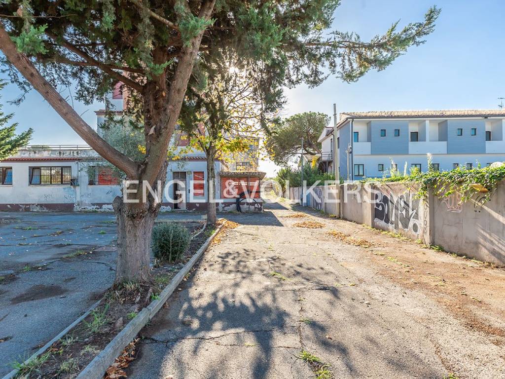 immagine annuncio 1 di 13