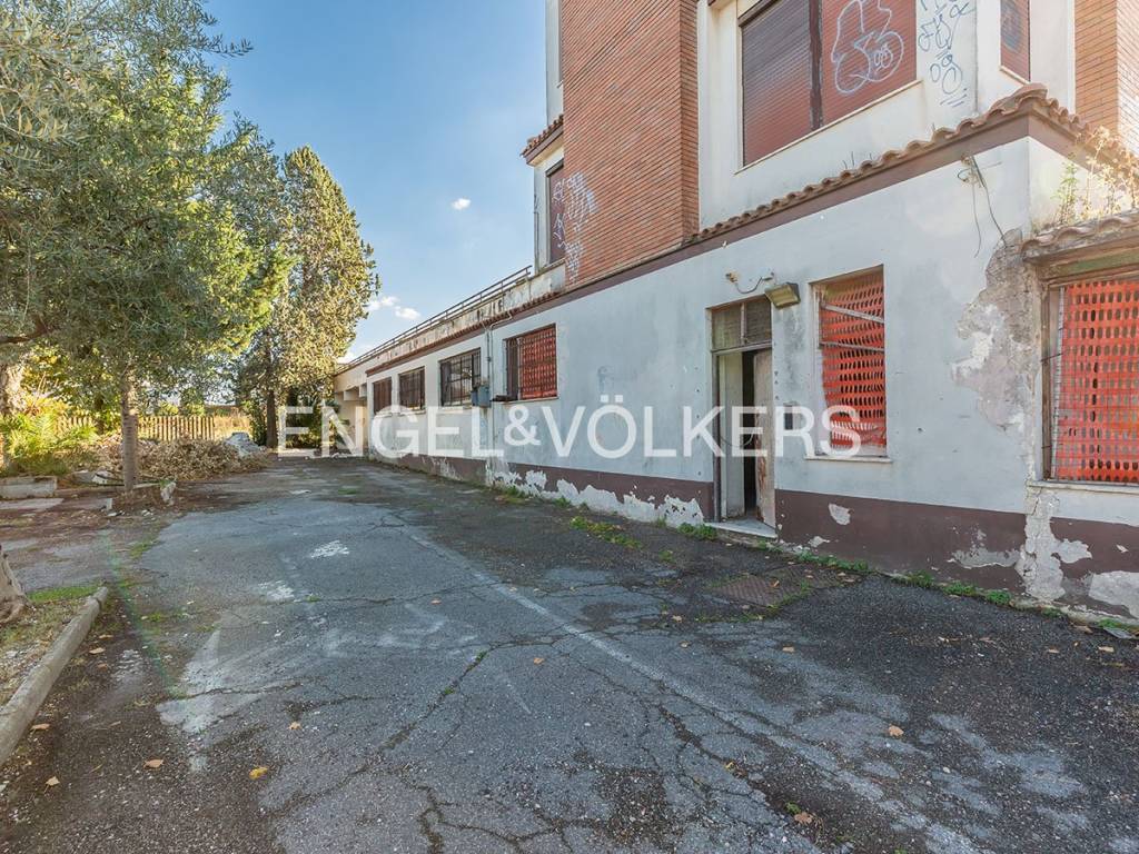 immagine annuncio 2 di 13