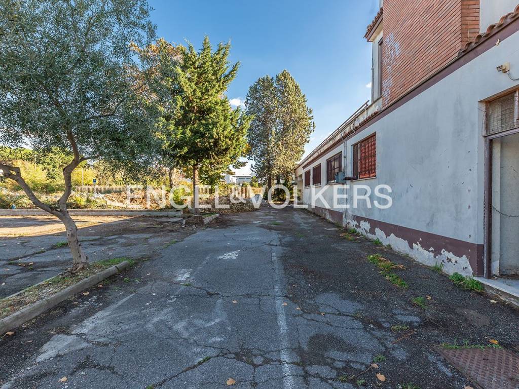 immagine annuncio 3 di 13