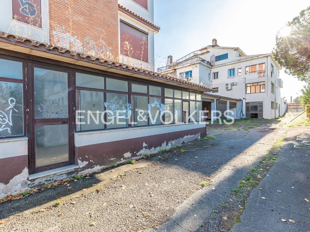 immagine annuncio 5 di 13