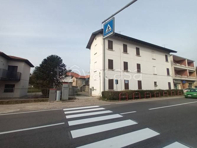 immagine annuncio 12 di 14