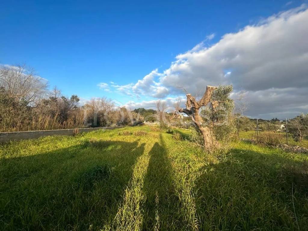 immagine annuncio 1 di 6