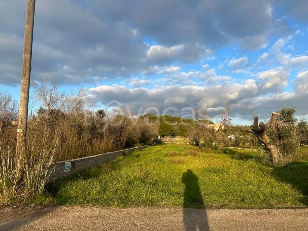 immagine annuncio 2 di 6