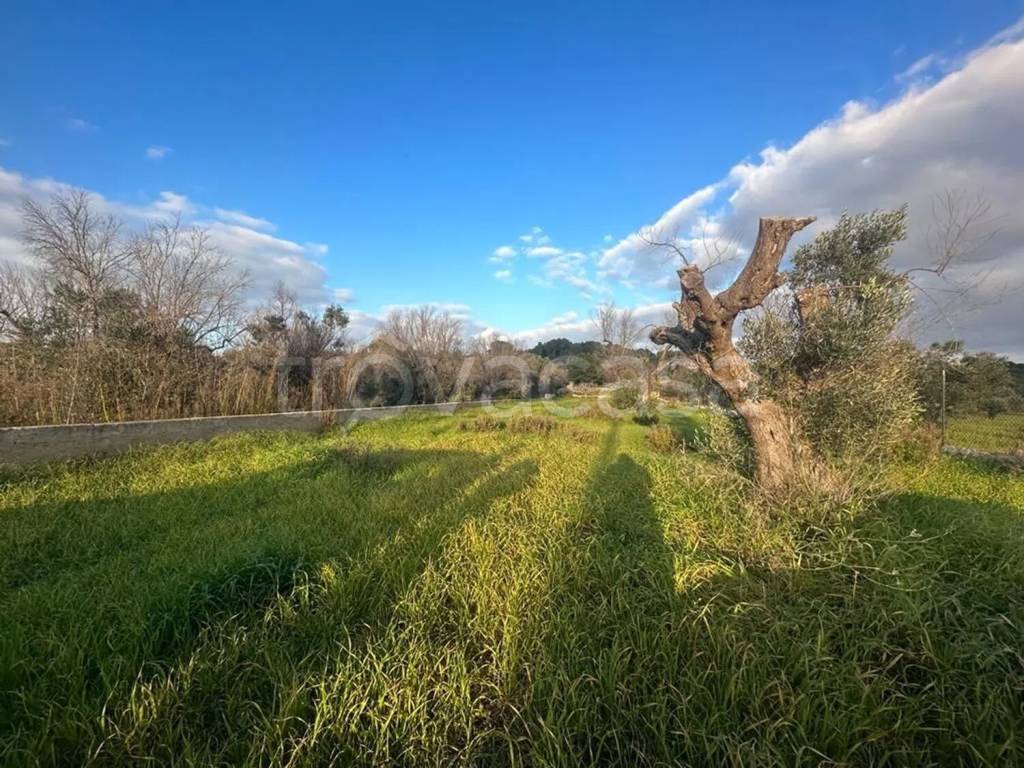 immagine annuncio 3 di 6