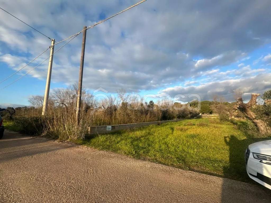 immagine annuncio 4 di 6