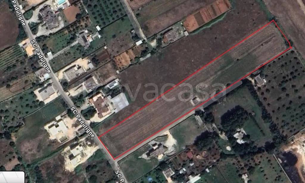 immagine annuncio 2 di 4