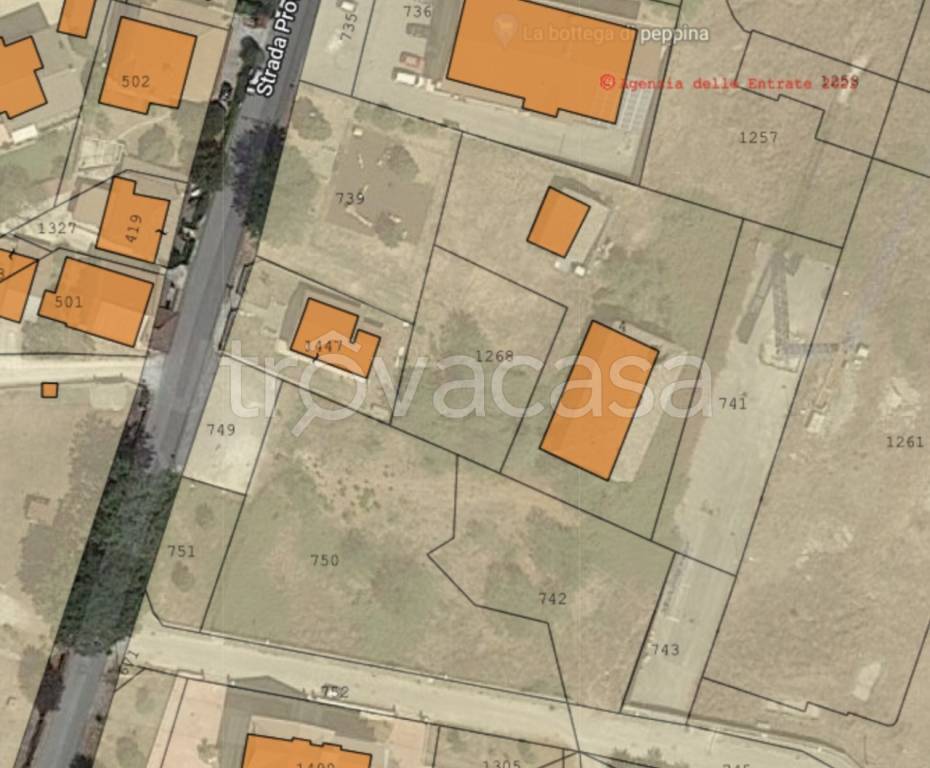 immagine annuncio 2 di 10