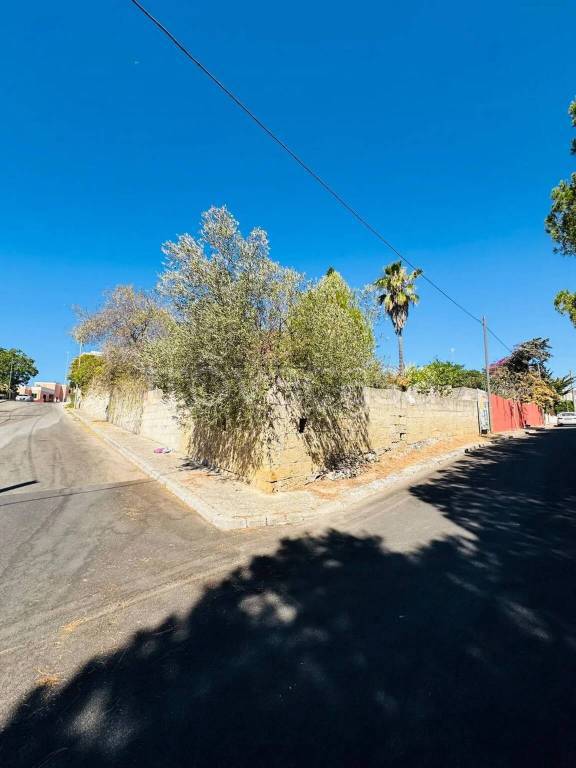 immagine annuncio 1 di 2