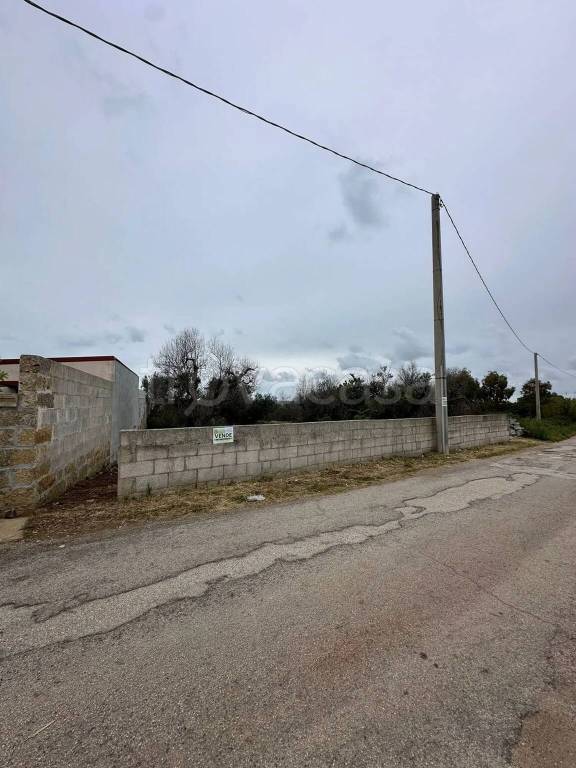 immagine annuncio 3 di 9