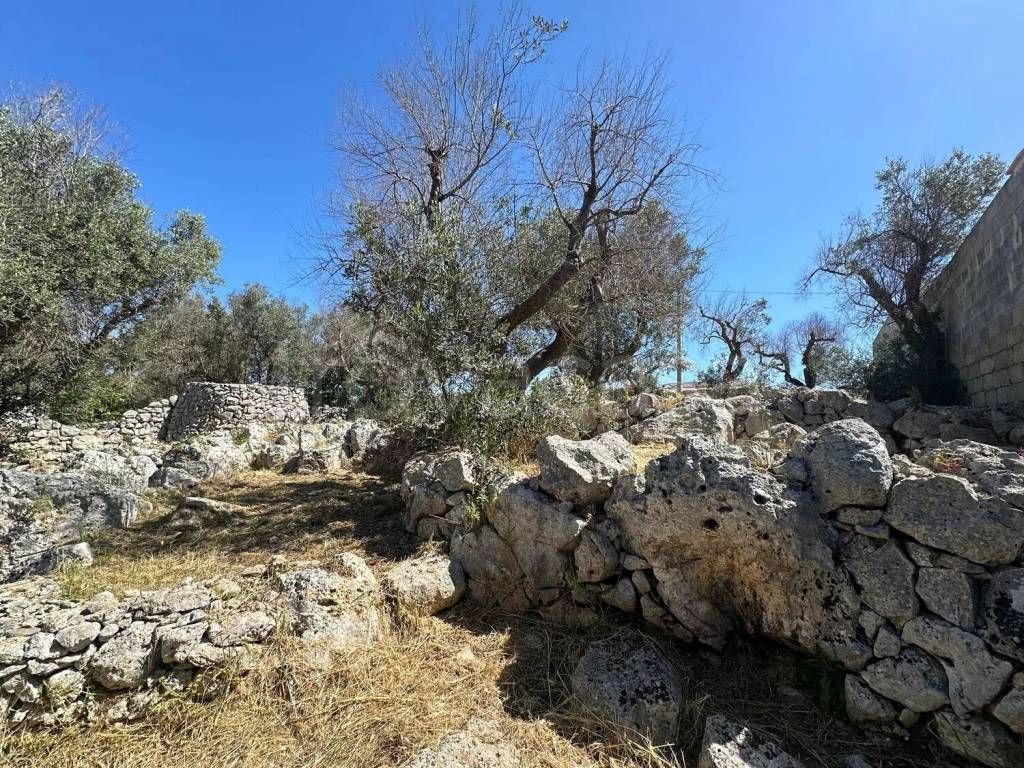 immagine annuncio 4 di 9