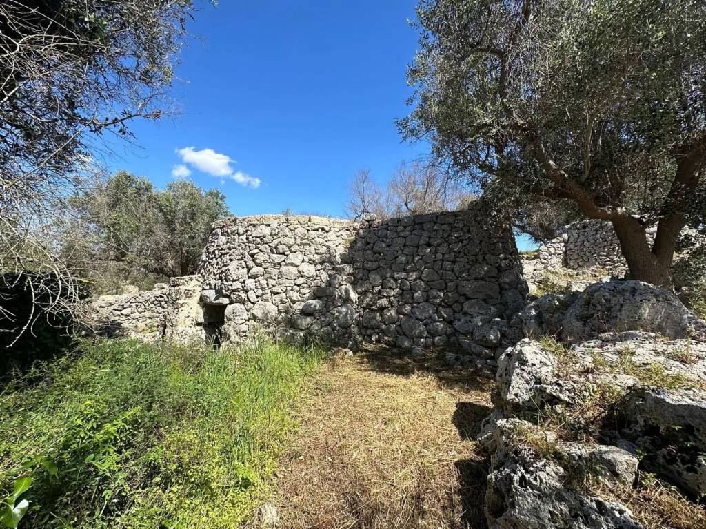 immagine annuncio 5 di 9